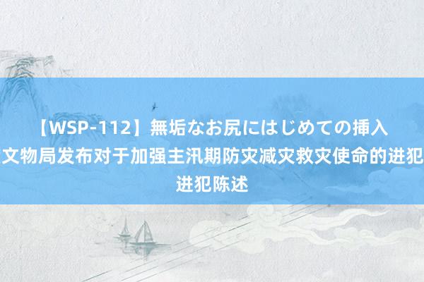 【WSP-112】無垢なお尻にはじめての挿入 国度文物局发布对于加强主汛期防灾减灾救灾使命的进犯陈述