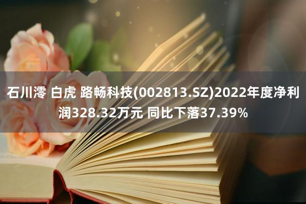 石川澪 白虎 路畅科技(002813.SZ)2022年度净利润328.32万元 同比下落37.39%