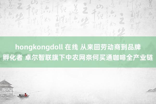 hongkongdoll 在线 从来回劳动商到品牌孵化者 卓尔智联旗下中农网奈何买通咖啡全产业链