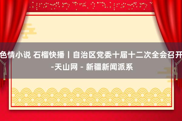 色情小说 石榴快播丨自治区党委十届十二次全会召开 -天山网 - 新疆新闻派系