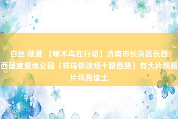 白丝 做爱 【啄木鸟在行动】济南市长清区长西路济西国度湿地公园（祥瑞街谈经十路西路）有大片线路渣土