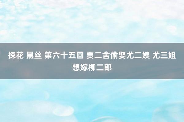 探花 黑丝 第六十五回 贾二舍偷娶尤二姨 尤三姐想嫁柳二郎