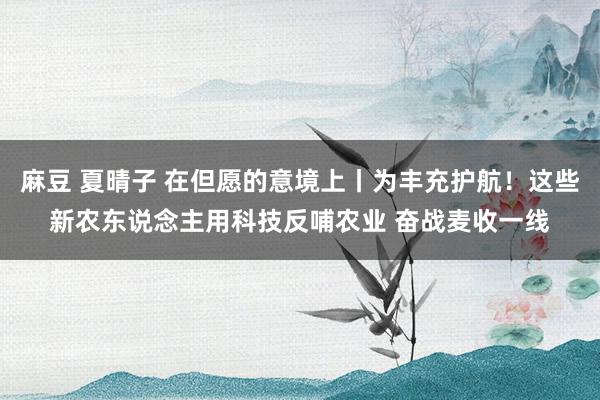 麻豆 夏晴子 在但愿的意境上丨为丰充护航！这些新农东说念主用科技反哺农业 奋战麦收一线